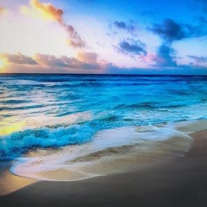 Meet your Posher, Laney